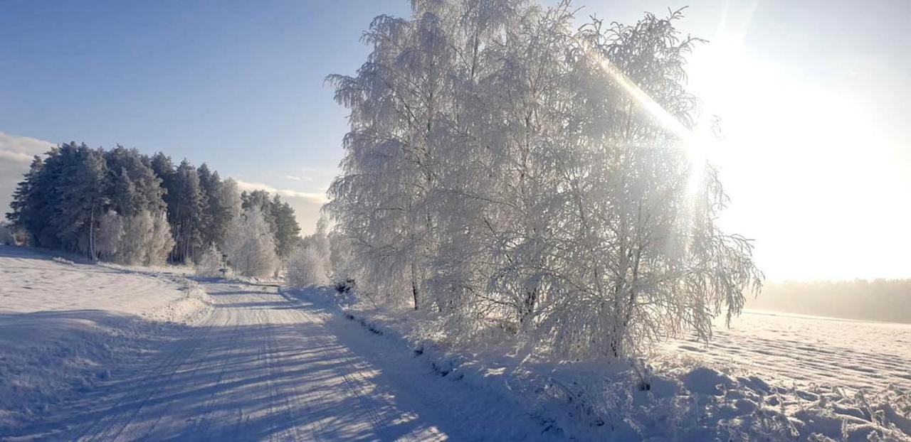 Ostoja Bukowo 12,2 chata u szôłtësa Borowy Mlyn Exterior foto