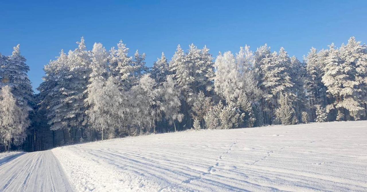Ostoja Bukowo 12,2 chata u szôłtësa Borowy Mlyn Exterior foto